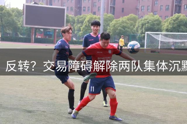 反转？交易障碍解除两队集体沉默 猛龙或希望重谈小卡交易筹码